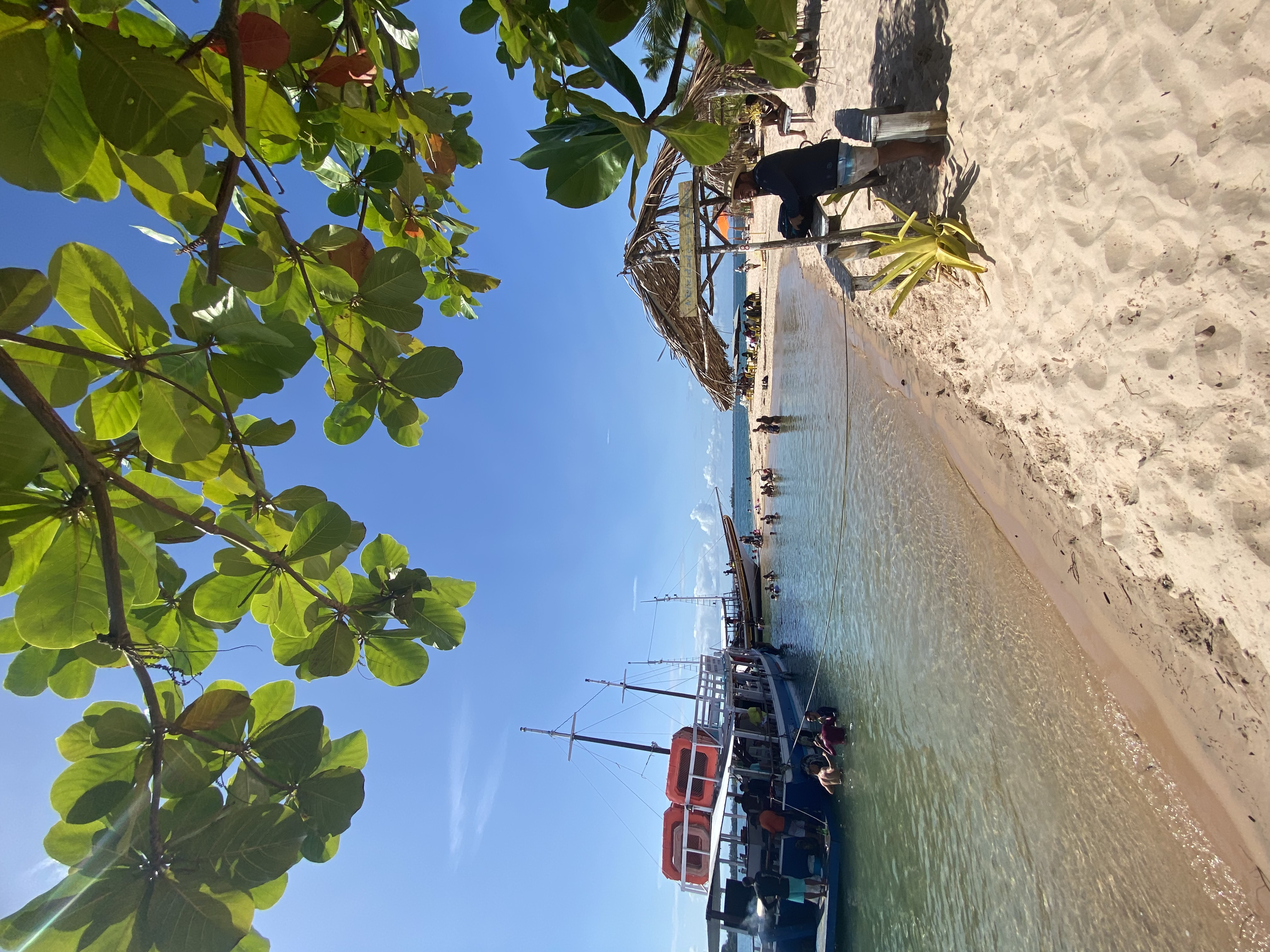 Passeio das Ilhas – Península de Maraú - foto 5