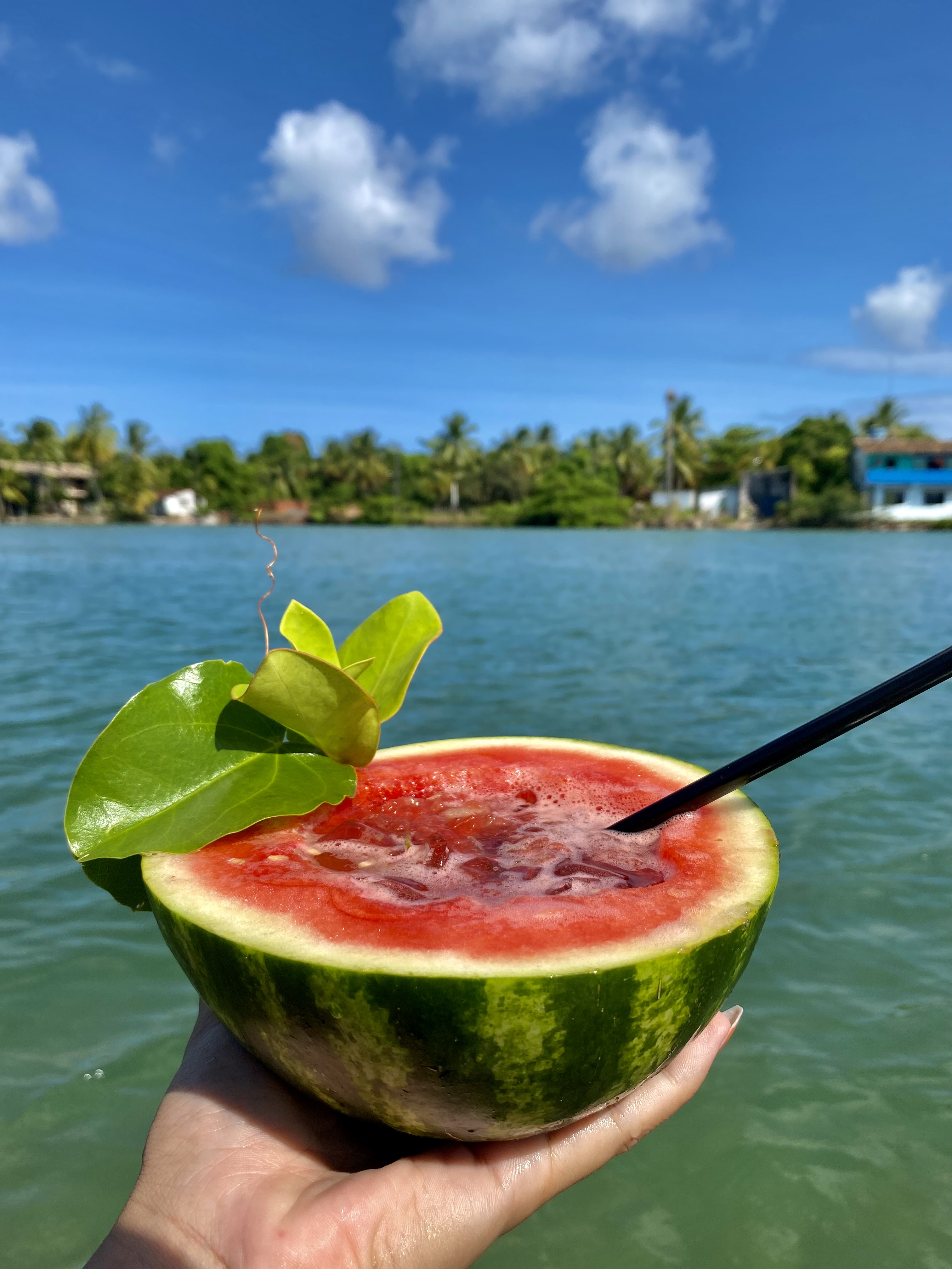 Passeio das Ilhas – Península de Maraú - foto 6