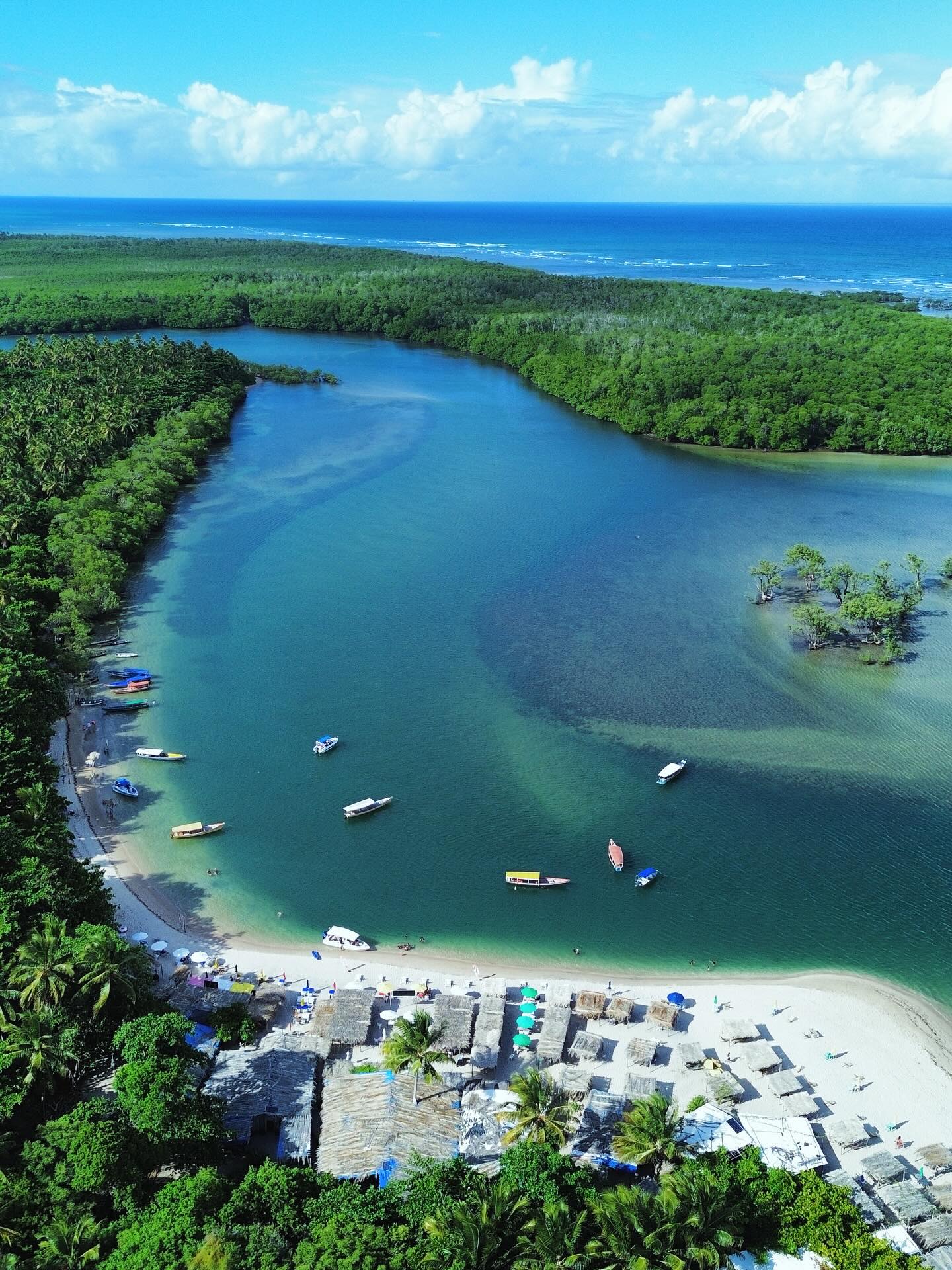 Vista da Ilha de Boipeba entre a mata e o mar