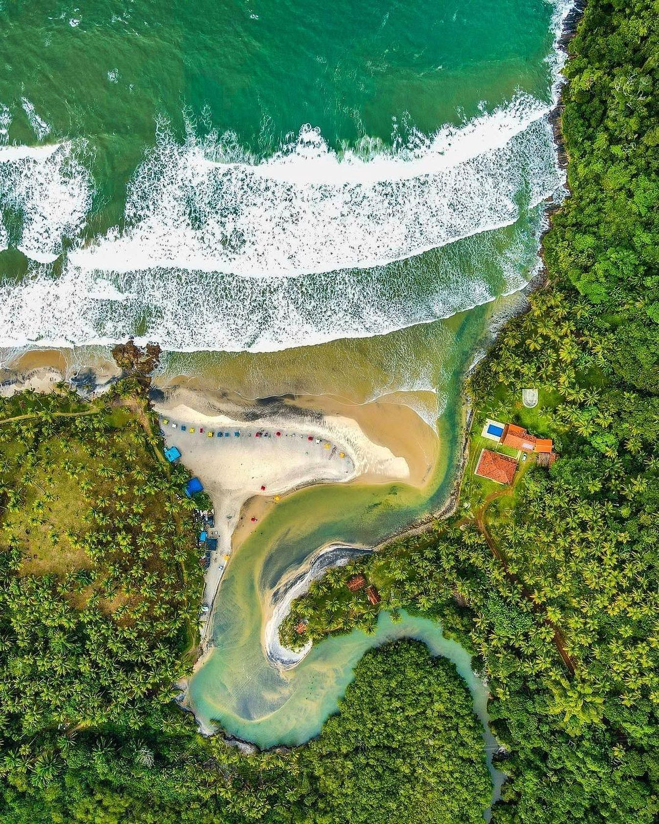 Praia do Jeribucaçu vista do alto, com mata atlântica e mar turquesa