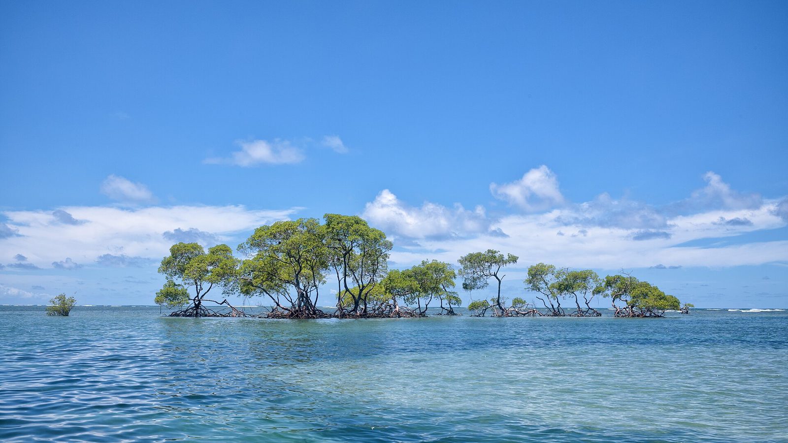 Mar calmo na região da Ponta dos Castelhanos, em Boipeba